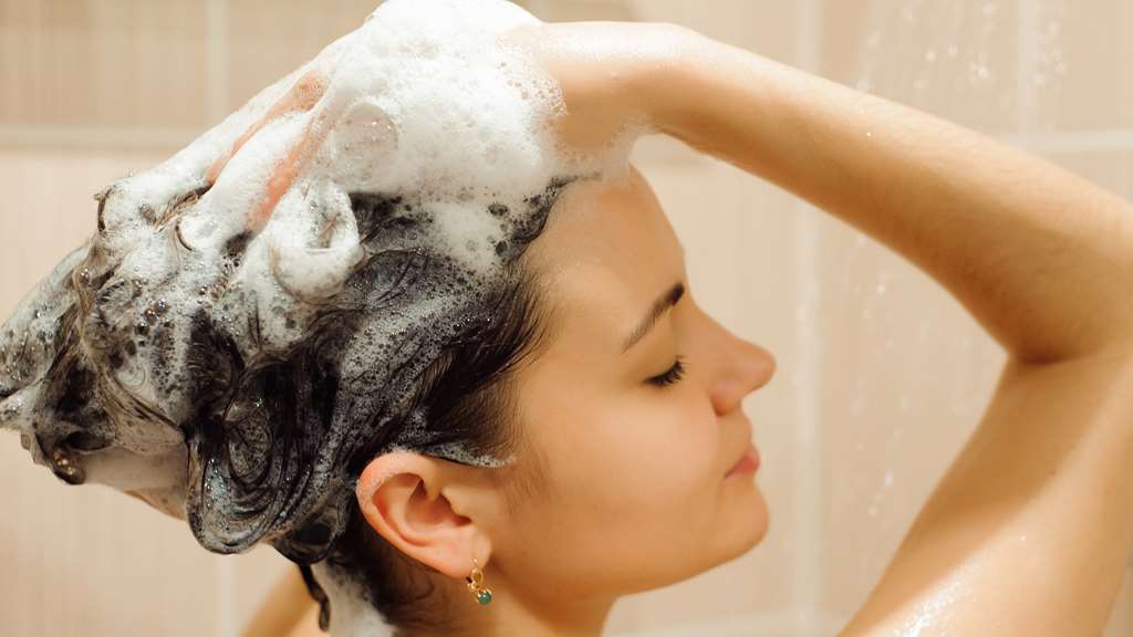 San Jose Airport Inn 部屋 写真